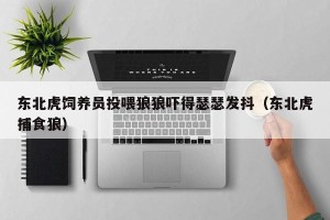 东北虎饲养员投喂狼狼吓得瑟瑟发抖（东北虎捕食狼）