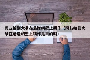 网友拍到大爷在悬崖峭壁上耕作（网友拍到大爷在悬崖峭壁上耕作是真的吗）