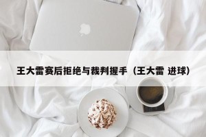 王大雷赛后拒绝与裁判握手（王大雷 进球）
